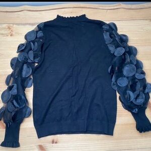 Siani Milano Sweater W/ Sheer Sleeves